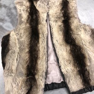 Siena Studio Chinchilla